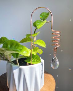 a potted plant sitting on top of a table next to a wind chime