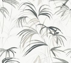 Inky Palms Wallpaper Wallpaper Candice Olson Double Roll Black Palms Wallpaper, Candice Olson, A Street Prints, Palm Wallpaper, York Wallcoverings, Contemporary Wallpaper, Tea Garden, Magnolia Homes, Brick And Stone