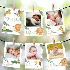 baby pictures are hung on clothes pins and pinned to the clothesline with photos of babies