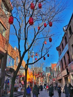 people are walking down the street with red lanterns hanging from trees in front of them