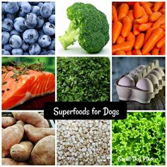 there are many different foods that include broccoli, carrots and blueberries