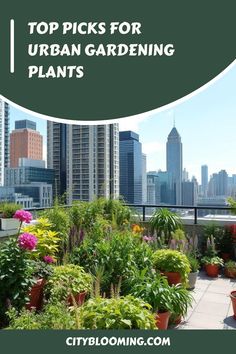 Urban rooftop garden with diverse plants and city skyline in the background.