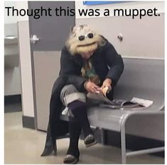 a person sitting on a bench with a stuffed animal in front of them and the caption reads, thought this was a nuppett