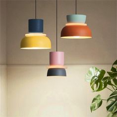 three different colored lights hanging from the ceiling above a table with a potted plant