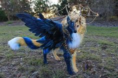 a blue and yellow dog with wings on it's back standing in the grass