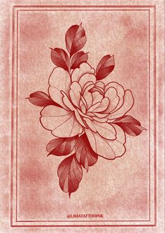 a red and white drawing of a flower on a pink background with an ornate border