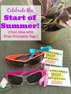 some sunglasses are sitting on the ground next to a potted plant and sign that says, celebrate the start of summer cool idea with free printable tags