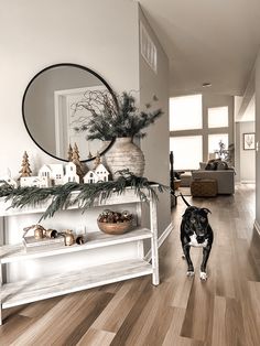 a black and white dog standing in the middle of a living room next to a christmas tree