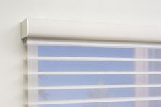 a cat sitting on top of a window sill in front of a window with blinds