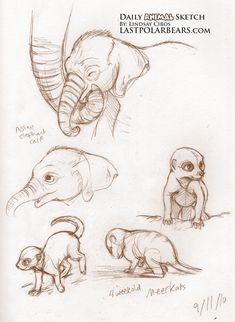 an elephant and other animals are depicted in this hand - drawn sketch, which depicts different stages of life