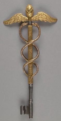 a golden medical caduce with snakes on it's back and two swords in the front