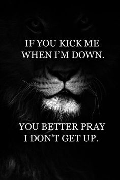 a lion with the words if you kick me when i'm down, you better pray