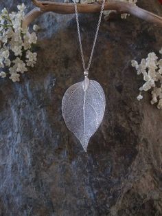 This beautiful necklace is made with a real leaf dipped in silver. The amazing delicate details of the leaf has been preserved by the electroforming process creating a beautiful and unique gift of nature. This necklace is durable, lightweight and very elegant. These real leaves are from the evergreen Rudraksha tree. Each leaf is unique, therefore, please expect a small variation from the leaves on the photographs. I try my best to match them as closely as possible. The leaves are around 2 inches Elegant Sterling Silver Leaf-shaped Necklace, Silver Leaf-shaped Nature-inspired Necklace, Handmade Sterling Silver Leaf-shaped Necklace, Handmade Sterling Silver Leaf Necklace, Handmade Elegant Leaf-shaped Necklace, Nature-inspired Leaf Shaped Sterling Silver Necklace, Silver Leaf-shaped Necklace Gift, Nature-inspired Sterling Silver Leaf Necklace, Silver Leaf-shaped Necklace For Gift