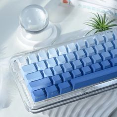 a blue computer keyboard sitting on top of a white table next to a potted plant