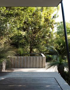 an outdoor area with trees and plants in the background, surrounded by concrete steps that lead to a wooden deck