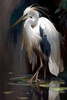 a painting of a white and black bird standing in water