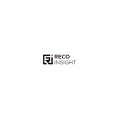 a black and white logo with the words reco insight written in bold font