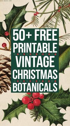 the cover of 50 + free printable vintage christmas botanicals, including holly and pine cones