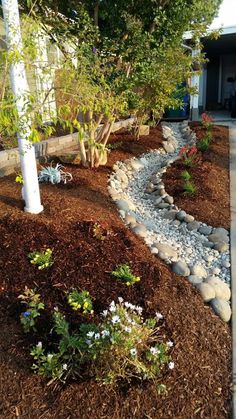 a garden with rocks and plants in it