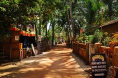 a dirt road surrounded by palm trees and buildings