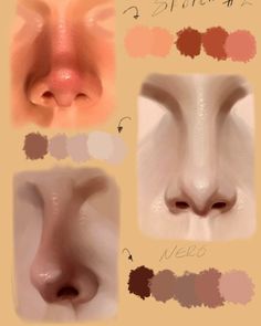 an image of different nose shapes and colors