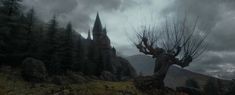 an old tree in front of a castle on a cloudy day with dark clouds overhead