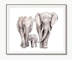 two elephants are standing next to each other in front of a white background with a black frame