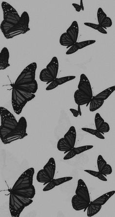 a group of butterflies flying through the air