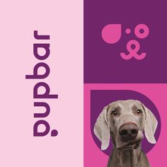 a dog is shown in front of a pink and purple background with the words puppadd on it