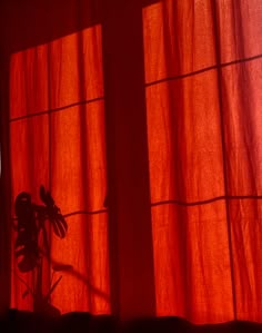 the shadow of a plant on a window sill in front of an orange curtain