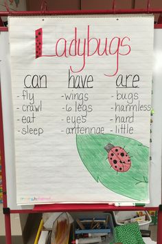 a ladybug poster with words and pictures on it in front of a classroom desk