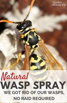 a yellow and black insect with the words natural wasp spray on it's back