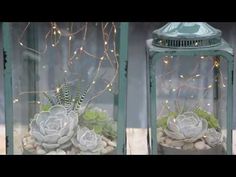 two glass vases filled with succulents and rocks on top of a table