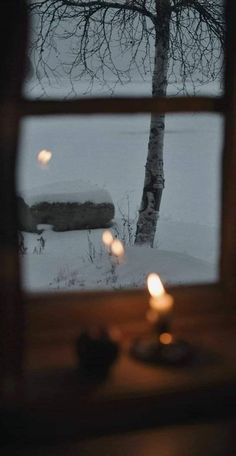 a window with some candles in front of it and a snow covered tree outside the window