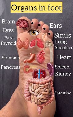 Eye Health Remedies, Healing Reflexology, Pressure Point Therapy, Reflexology Foot Chart, Foot Reflexology Massage, Body Massage Techniques, Hand Reflexology, Reflexology Chart, Reflexology Massage