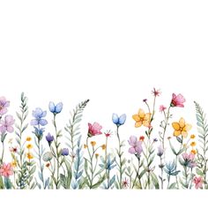 watercolor flowers and plants on a white background