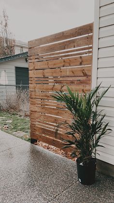 a potted plant next to a wooden fence on the side of a house in front of a building