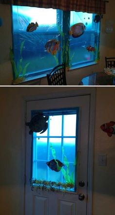 two pictures of fish in an aquarium window