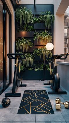 Transform your patio into a chic urban gym with sleek black and gold aesthetics! 🖤✨ A high-end stationary bike with a gold frame, a black yoga mat with geometric gold patterns, and black and gold dumbbells create a stylish workout space. A vertical garden and floor lamp add a touch of green and light. 🌿 #UrbanGym #PatioFitness Patio Gym Ideas, Patio Gym, Gold Aesthetics, Black Yoga Mat, Yoga Meditation Room, Green Gym, Golf Academy