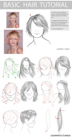 different hairstyles for women with long hair in various positions and shapes, including the head