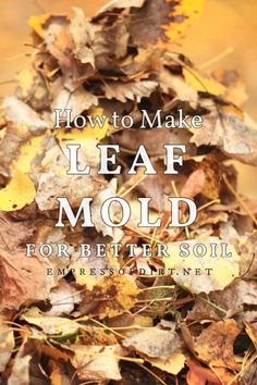 the cover of how to make leaf mold for better soil