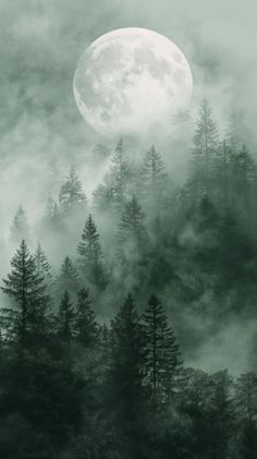 a full moon is seen above the trees on a foggy day in this black and white photo