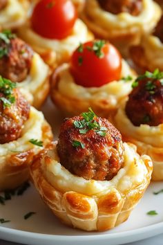 small appetizers with meatballs and cheese are on a white plate, ready to be eaten