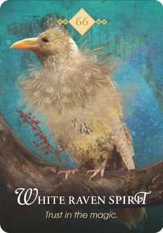 a bird sitting on top of a tree branch with the words white raven spirit trust in the magic