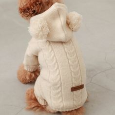 a brown dog wearing a white sweater with pom - poms on it's back