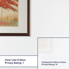 a painting hanging on the side of a wall next to a framed art piece with text stating clear low - e glass privacy