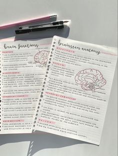 Pink aesthetic medical notes revision Collage Notes Ideas, Revision Board Ideas, Art Notes Aesthetic, Notes Aesthetic Medical, Medical School Notes Aesthetic, Aesthetic Medical Notes, Aesthetic Notes Medical, School Revision Notes, Pink Working Aesthetic