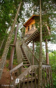 a tree house in the woods with stairs leading up to it