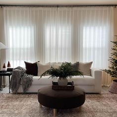 a living room filled with furniture and a christmas tree in front of a window covered in sheer curtains