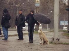 a group of people standing next to a dog holding an umbrella